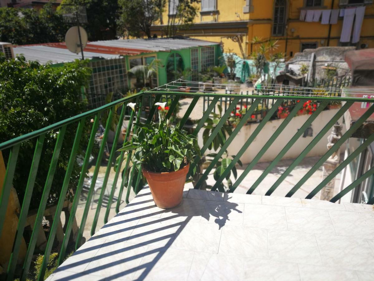 Arturo's House Apartment